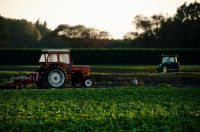 Ministro: valor bruto de produção agropecuária deve crescer 11,5% em 2025