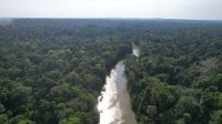 Ambipar acerta parceria para projeto florestal no Vale do Paraíba