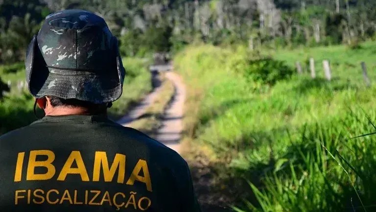 Chefia e técnicos do Ibama racham sobre resgate animal na Foz do Amazonas