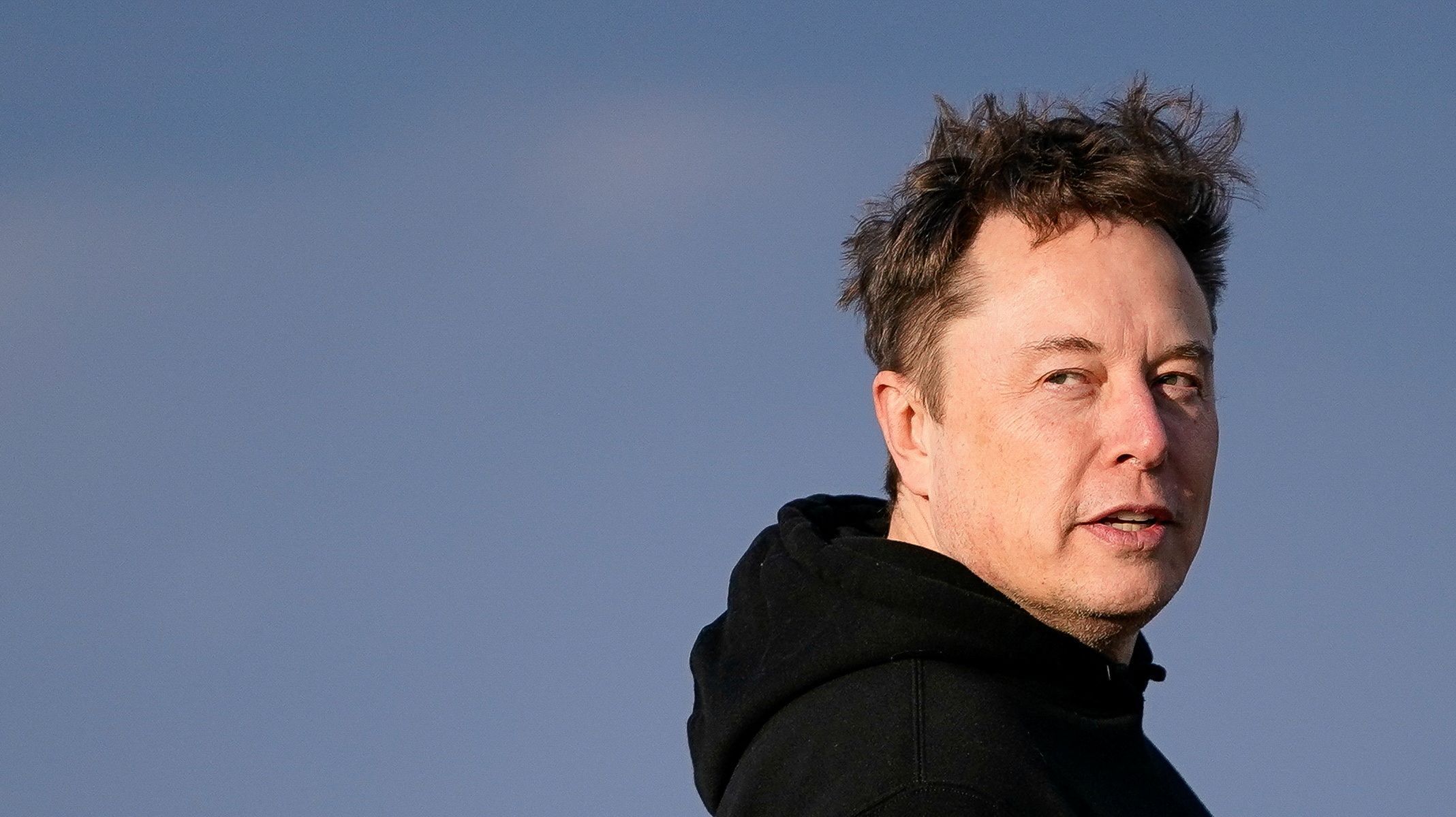 Conselho da Tesla inicia busca por CEO para substituir Elon Musk, diz WSJ