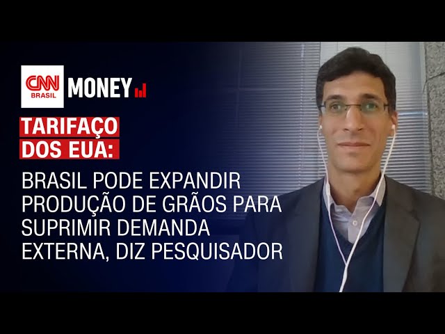 Brasil pode expandir produção de grãos para suprimir demanda externa, diz pesquisador | Money News