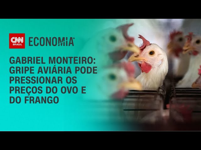 Análise: Gripe aviária pode pressionar os preços do ovo e do frango | AGORA CNN