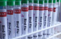Agricultura confirma novo de gripe aviária e mais seis suspeitos