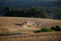 Trégua entre EUA e China reduz oportunidades ao agro brasileiro, diz Jank