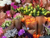 Guerra Tarifária encarece flores do Dia das Mães nos EUA