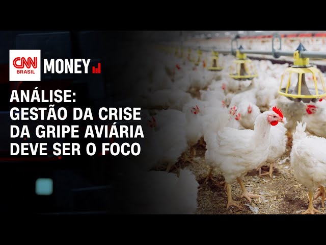 Análise: Credibilidade do Brasil no agro é alta no exterior