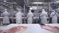 Minerva lucra R$ 185 mi no 1º tri e reverte prejuízo de um ano antes