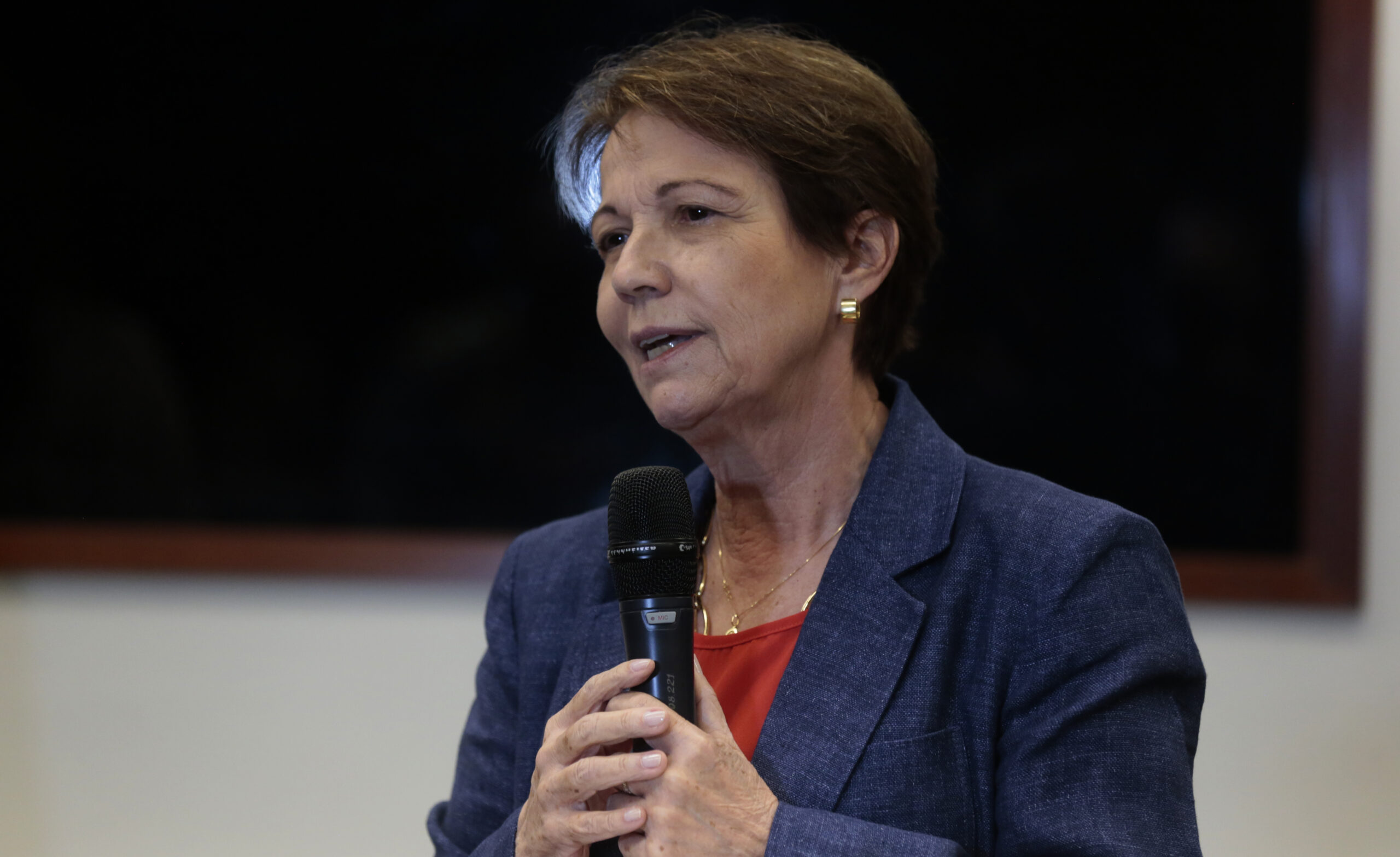 Uso da reciprocidade contra EUA depende de “juízo de Trump“, diz relatora