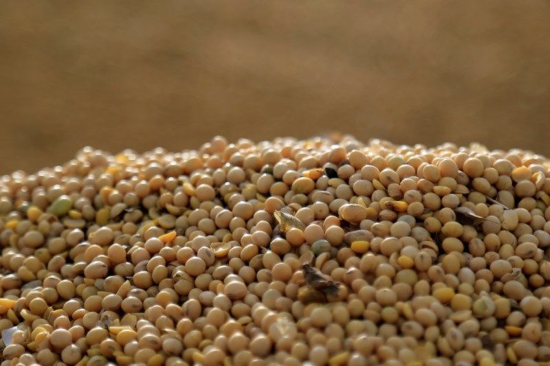 Setor da soja dos EUA comemora acordo, mas alerta para vendas do Brasil