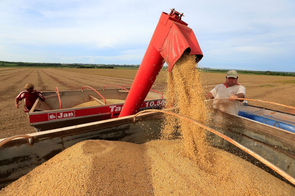 Vendas da safra de soja do Brasil estão atrasadas, aponta Safras & Mercado